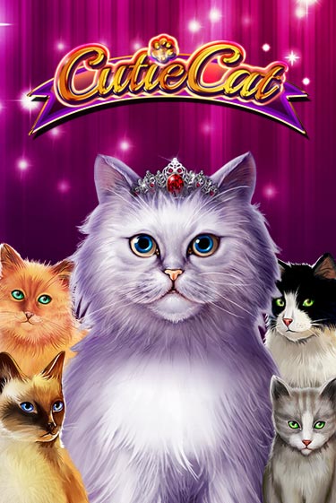 Cutie Cat играть онлайн | Казино ПокерДом без регистрации